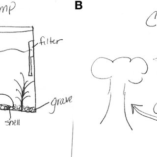 320x320 A Teacher Drawing Of A Model Of An Aquarium - A Teacher Drawing