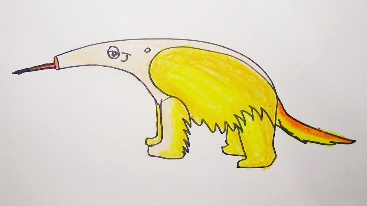 1280x720 Easy Drawing For Kids Cartoon Aardvark - Aardvark Drawing