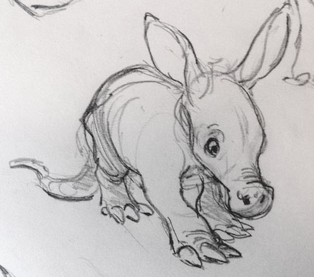 440x389 A Is For Aardvark - Aardvark Drawing