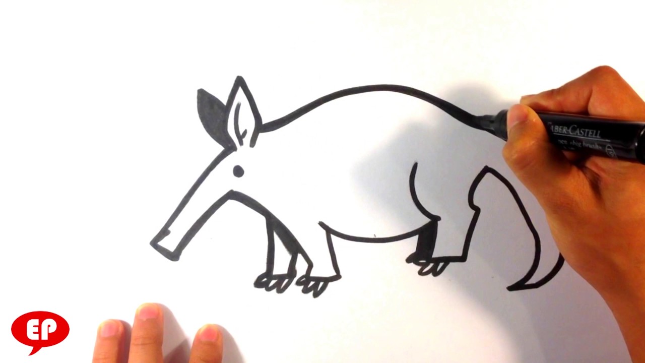 1280x720 How To Draw An Aardvark - Aardvark Drawing