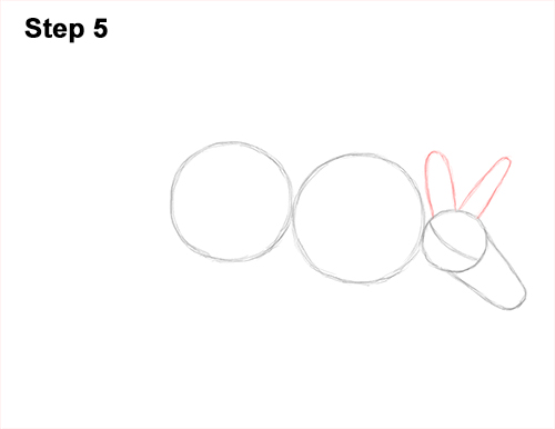 500x386 How To Draw An Aardvark - Aardvark Drawing