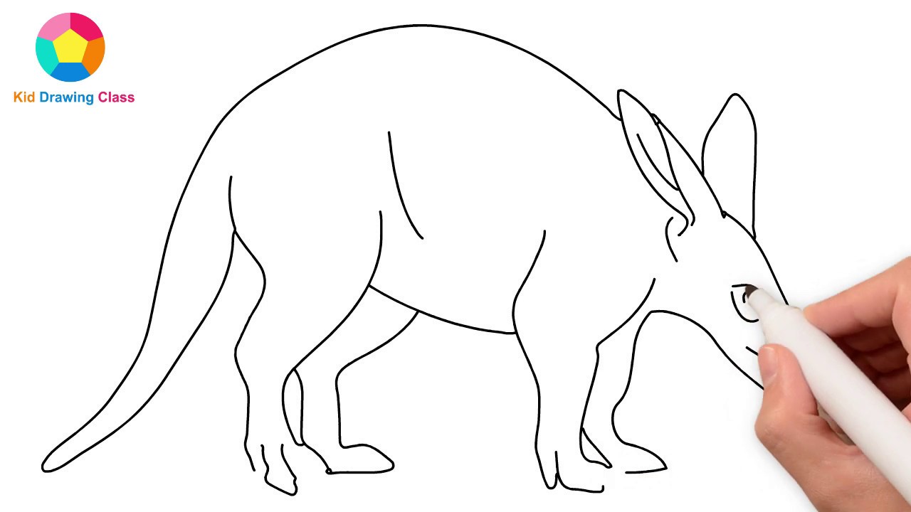 Aardvark Drawing at PaintingValley.com | Explore collection of Aardvark