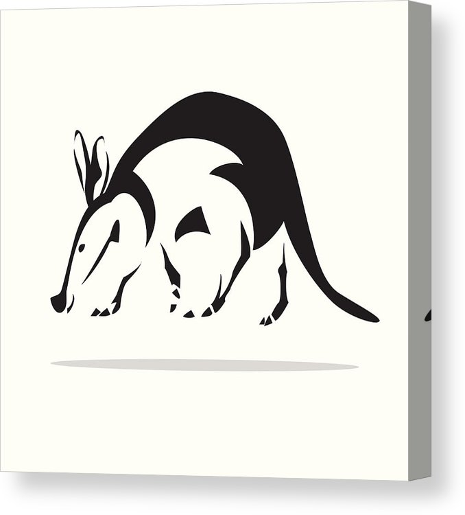 678x750 Aardvark Canvas Print Canvas Art - Aardvark Drawing
