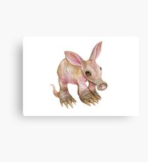 210x230 Aardvark Drawing Metal Prints Redbubble - Aardvark Drawing