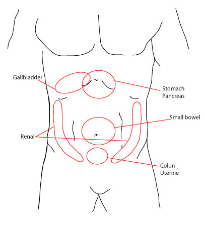 407x448 evaluation of acute abdomen image library - Abdomen Drawing