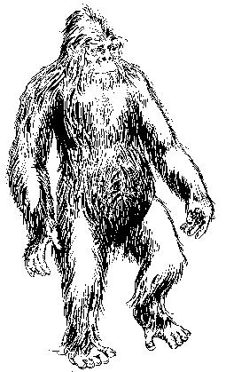 255x419 Cryptomundo My Favorite Hillary Yeti Photo - Abominable Snowman Drawing