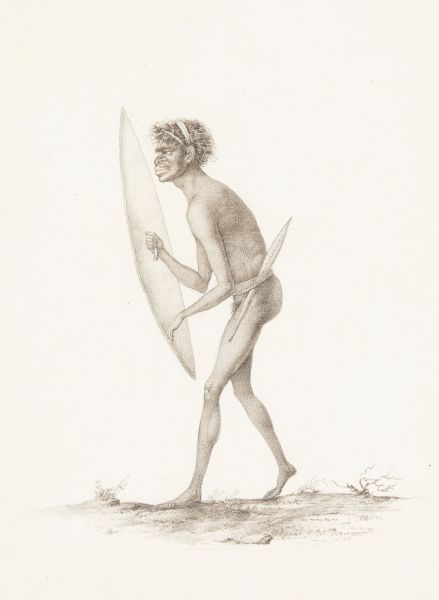 439x600 acquisition of rare and early drawing of an aboriginal warrior - Aboriginal Drawings