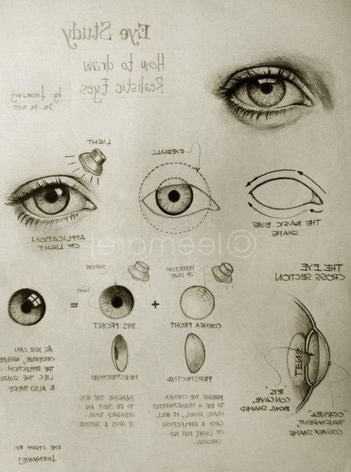500x673 Find Out About Drawing Tips Follow The Link For More Drawing - About Drawing