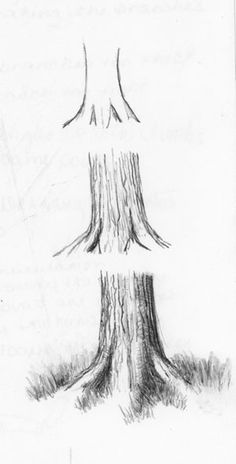 236x464 How To Draw - About Drawing