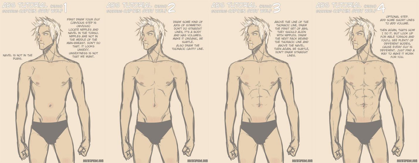 1429x558 tutorials drawing, coloring how to draw abs - Abs Drawing