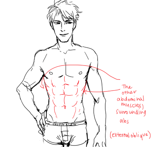 500x473 The Warlord Of Yaksha - Abs Drawing