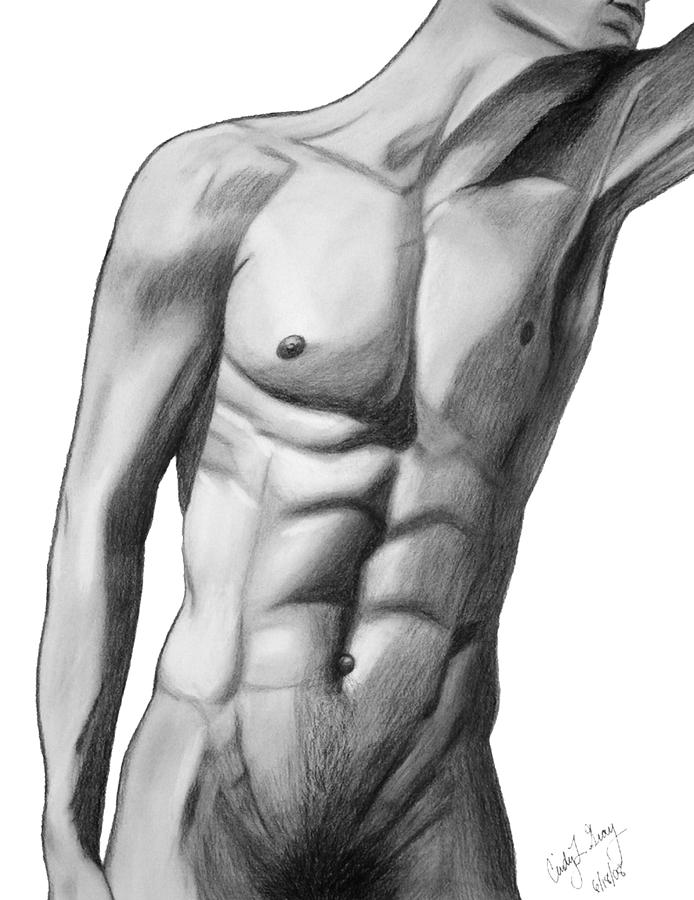 694x900 Torso Drawing - Abs Drawing