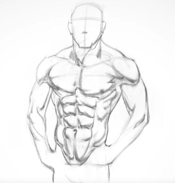 Abs Drawing at PaintingValley.com | Explore collection of Abs Drawing