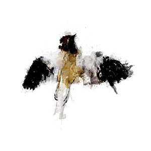 300x300 Abstract Bird Drawings Fine Art America - Abstract Bird Drawing