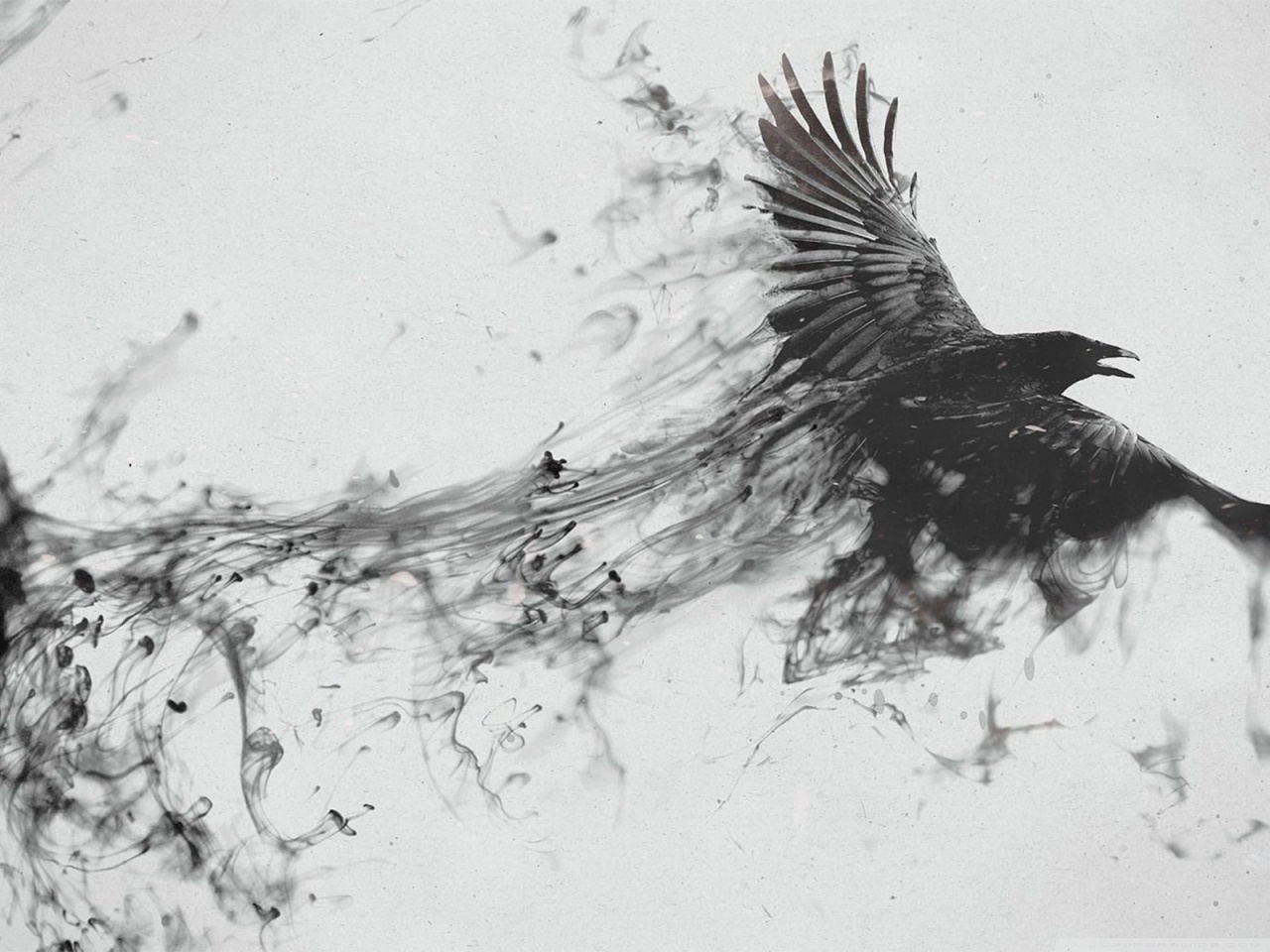1280x960 Abstract Bird Hd Desktop Wallpaper For Ultra Hd Tv - Abstract Bird Drawing