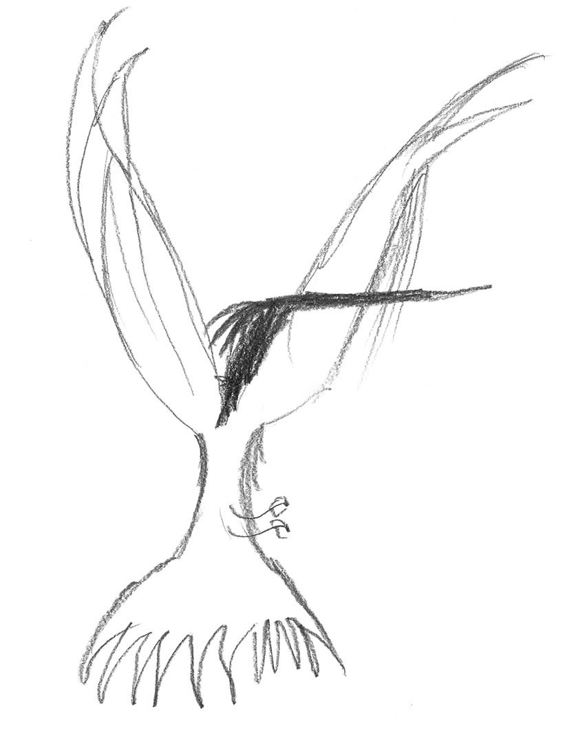 850x1072 Black White Sketch Abstract Bird Art Print - Abstract Bird Drawing