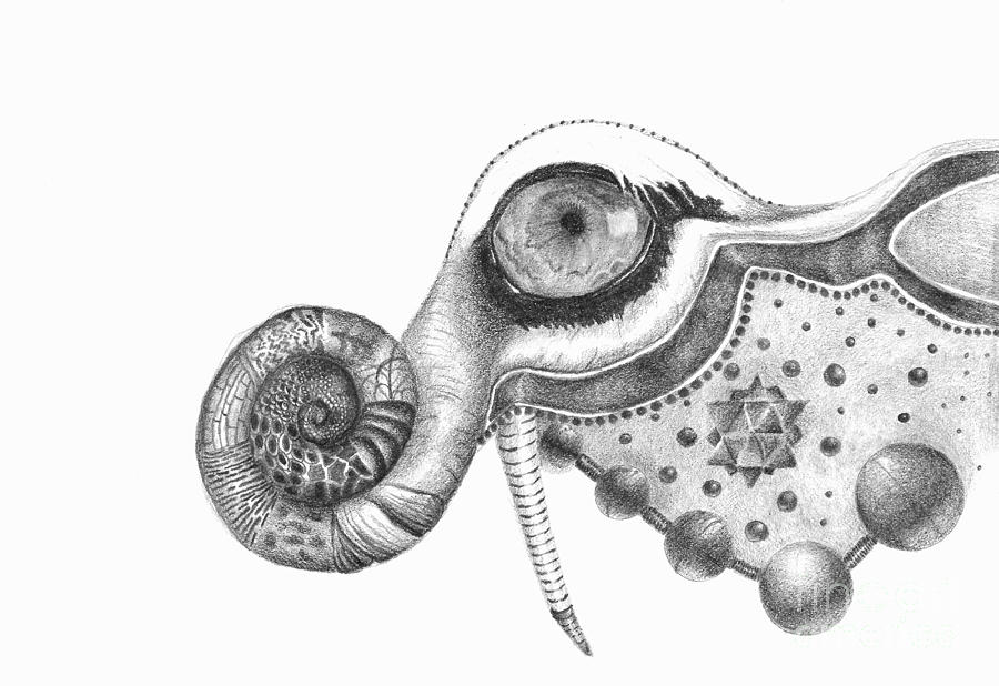 900x618 Abstract Drawing - Abstract Drawing