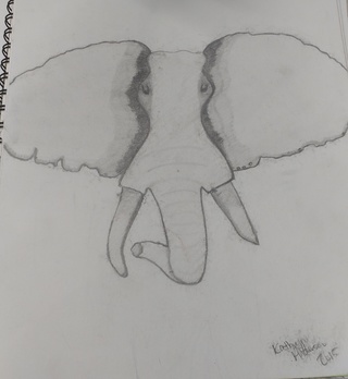 320x348 Elephant Drawings On Paigeeworld Pictures Of Elephant - Abstract Elephant Drawing