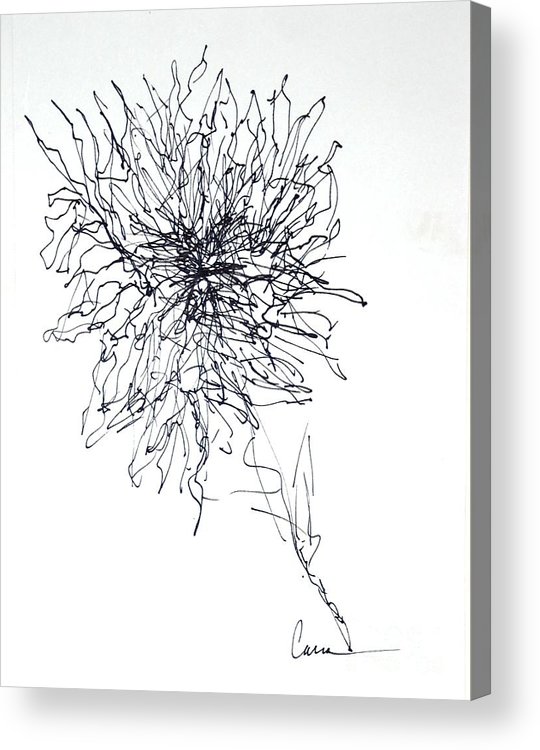 540x750 Abstract Flower Line Drawing Acrylic Print - Abstract Flower Drawing