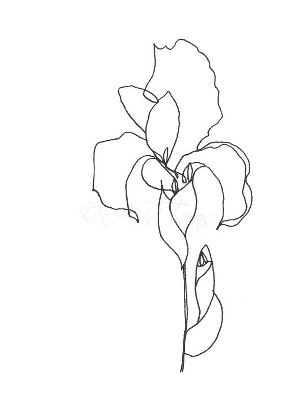 570x813 Original Abstract Minimalist Drawing Original Botanical - Abstract Flower Drawing