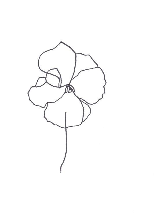 570x765 Original Botanical Drawing Minimalist Flower Drawing, Abstract - Abstract Flower Drawing