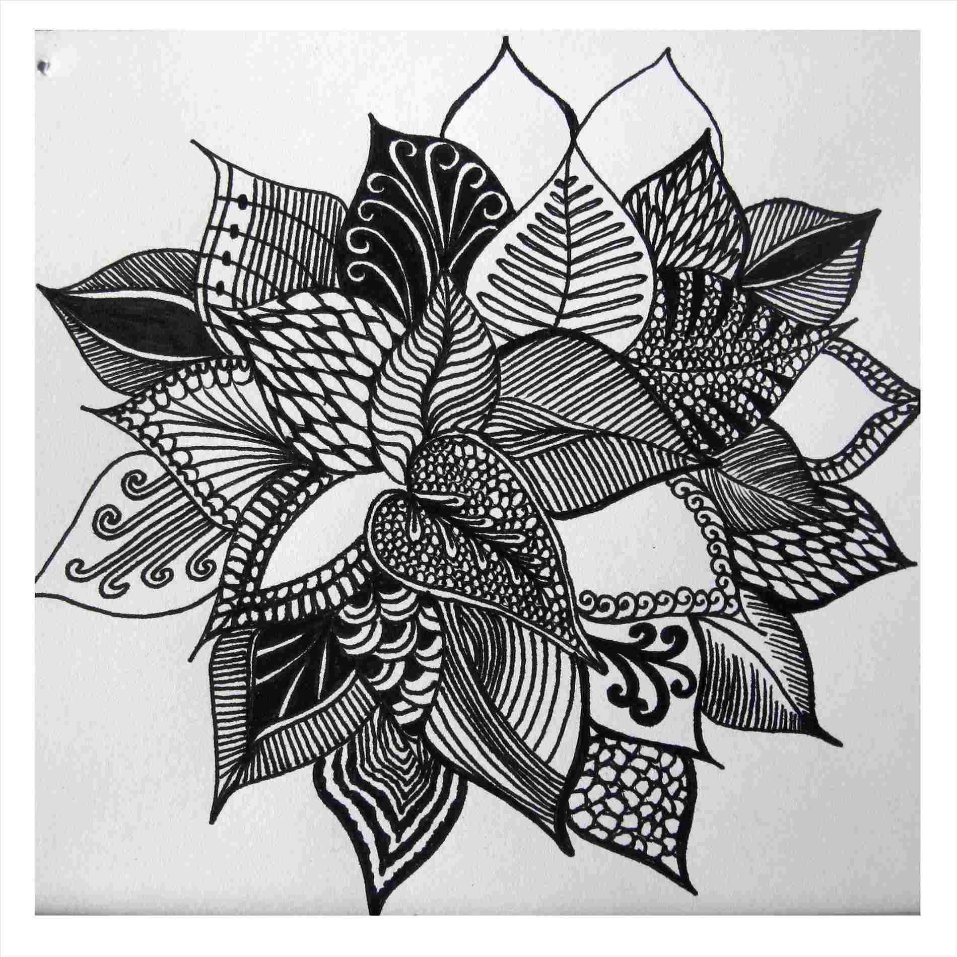 1900x1900 Pencil Drawing Of Abstract Flowers - Abstract Flower Drawing