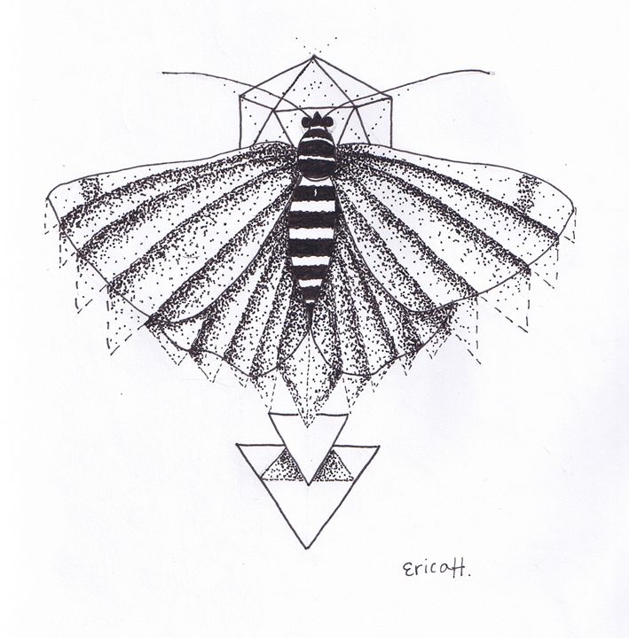709x720 Geometric Moth - Abstract Geometric Drawing