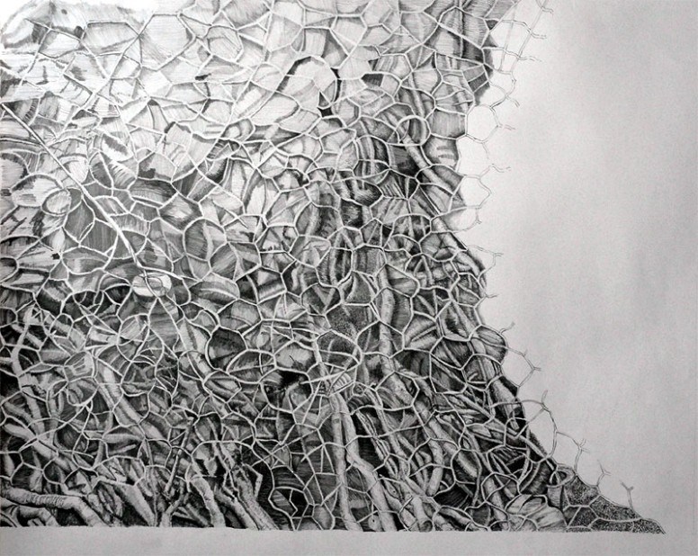 776x618 Pencil Drawing Abstract Is So Famous, But Why Pencil Drawing - Abstract Pencil Drawings
