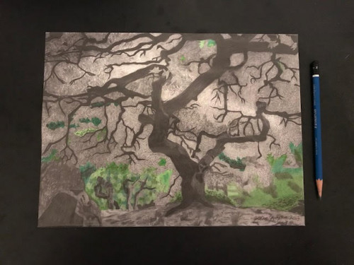 500x375 Abstract Handcrafted, Japanese Maple Tree Drawing Illustration - Abstract Tree Drawing