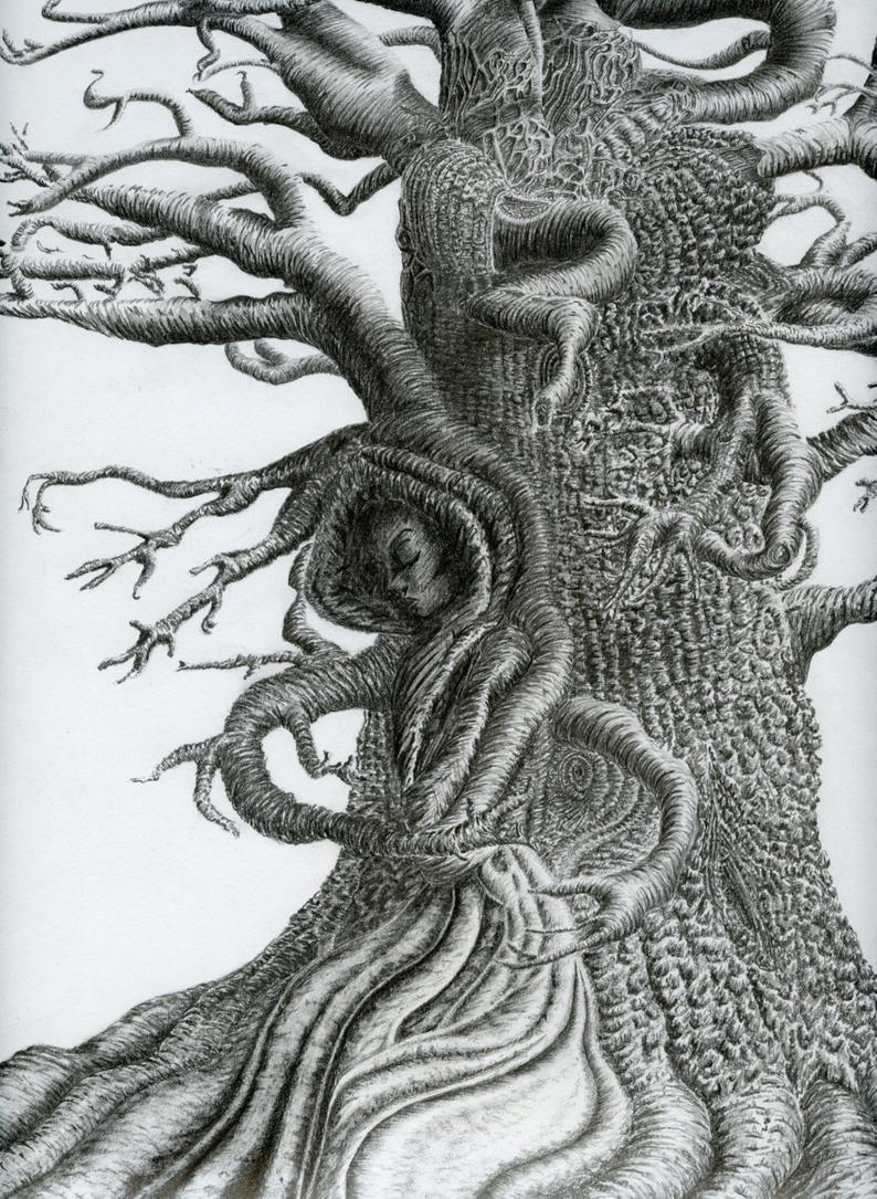 794x1085 Tree Pencil Drawing Abstract Tree Print Wuthering Heights Etsy - Abstract Tree Drawing