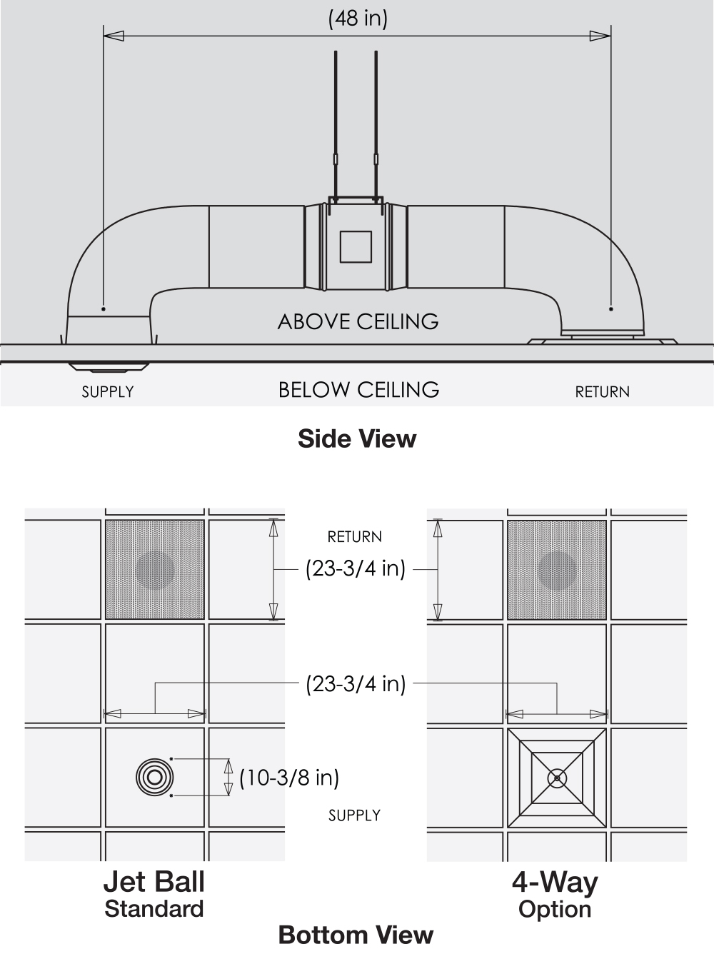 1000x1343 ac zoo fans - Ac Drawing