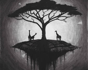 340x270 Acacia Tree Drawing Etsy - Acacia Tree Drawing