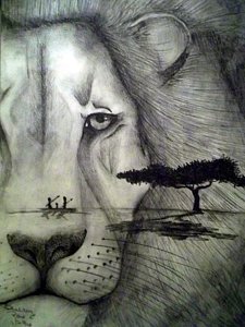 225x300 Acacia Tree Drawings Fine Art America - Acacia Tree Drawing