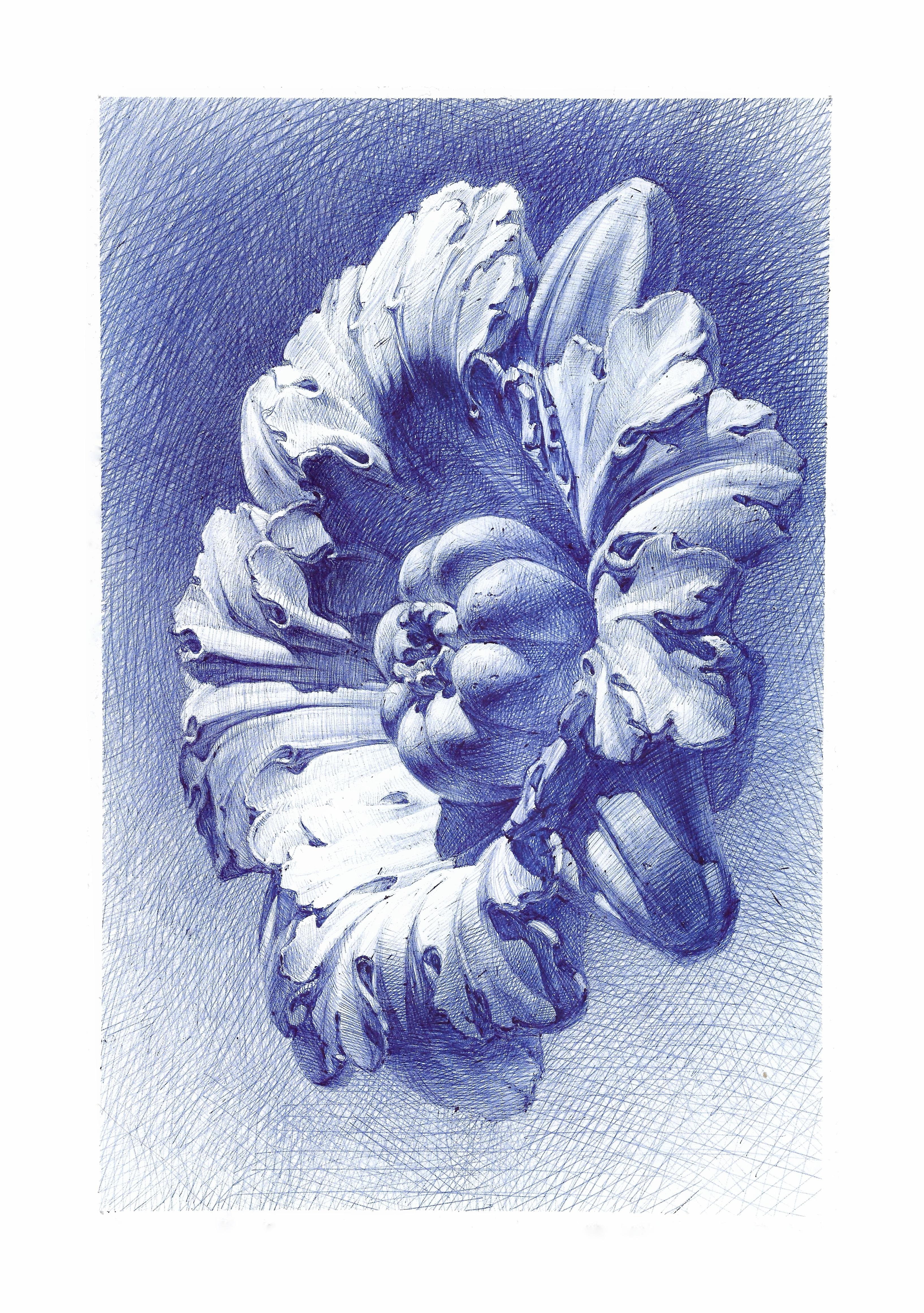 3268x4644 academic drawing ballpoint pen on paper art - Academic Drawing