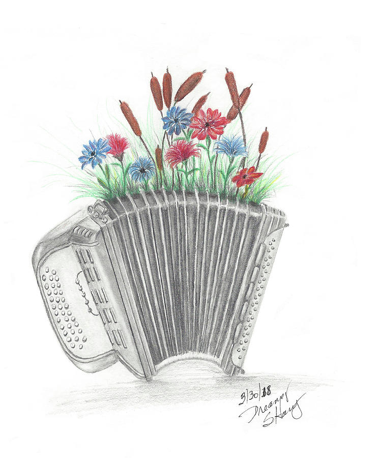 741x900 Accordion To My Garden Drawing - Accordion Drawing