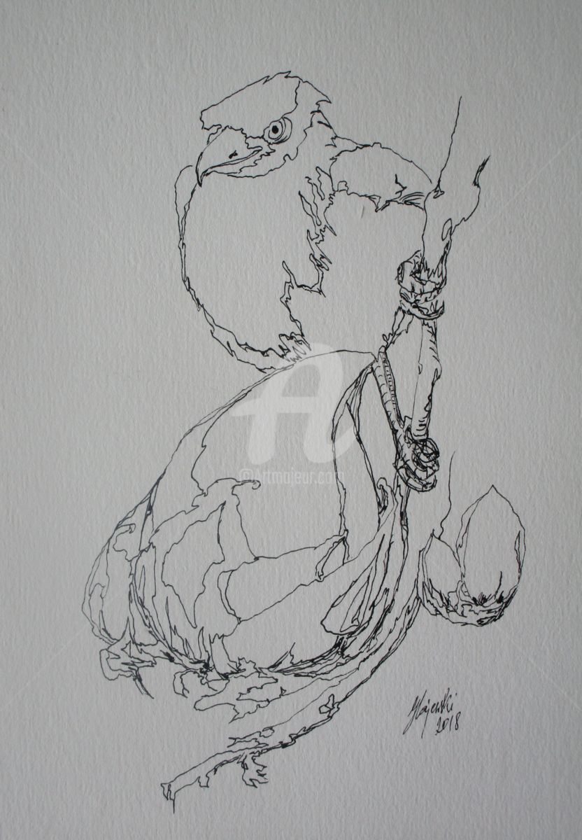 832x1200 dave grazyna hajewski drawing ink pen of paper acid free - Acid Drawing