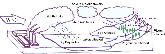626x208 what steps can society take to help reduce the effects of acid - Acid Rain Drawing