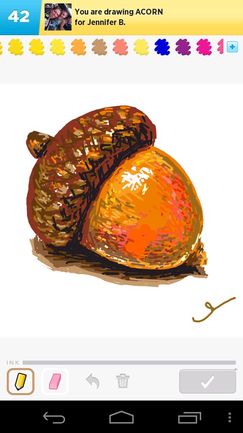 500x889 acorn drawings - Acorn Drawing