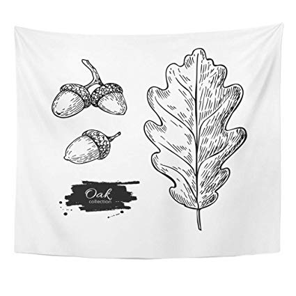 425x425 emvency wall tapestry etch oak leaf and acorn drawing - Acorn Drawing