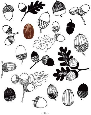 320x401 how to draw acorns clip art art - Acorn Drawing