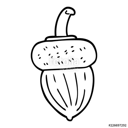 500x500 line drawing cartoon acorn stock image and royalty free vector - Acorn Drawing