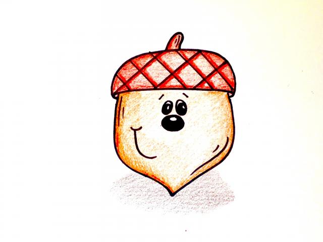 640x480 acorn drawing - Acorn Drawing