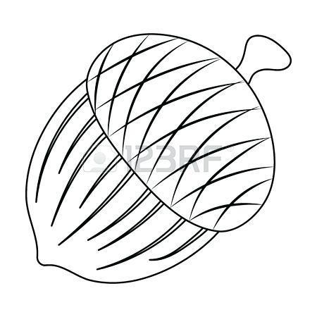 450x450 Acorn Outline Drawing Peternguyen - Acorn Line Drawing