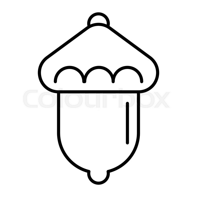 800x800 Acorn Thin Line Icon Oak Vector Stock Vector Colourbox - Acorn Line Drawing