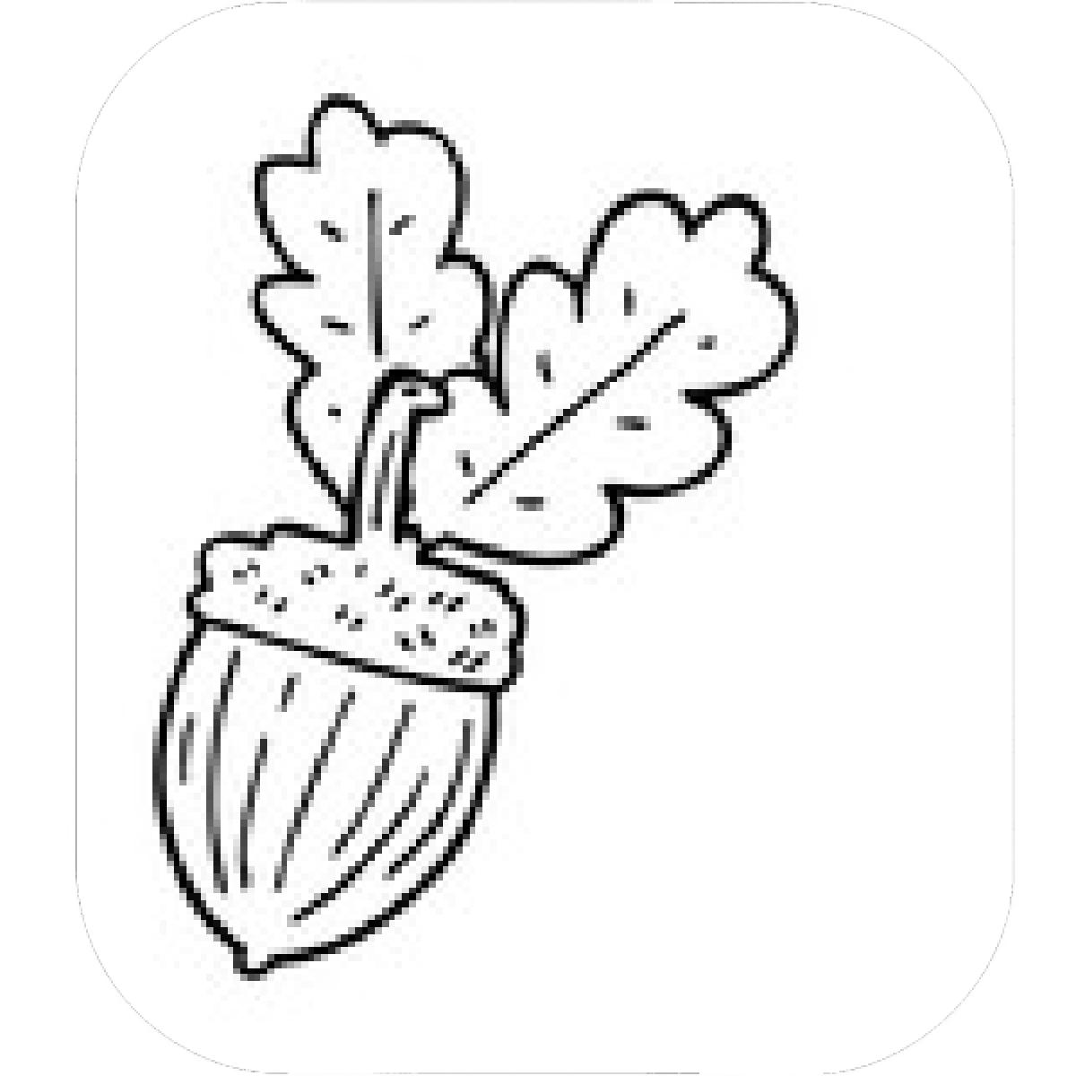 1200x1200 Designs Mein Mousepad Design Mousepad Selbst Designen - Acorn Line Drawing