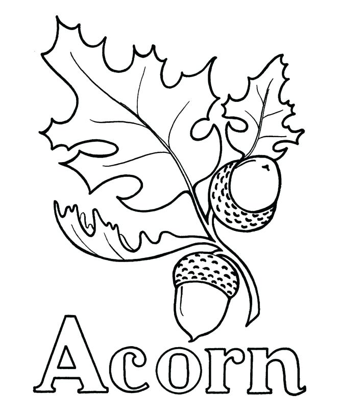 Printable Acorn Outline Printable World Holiday