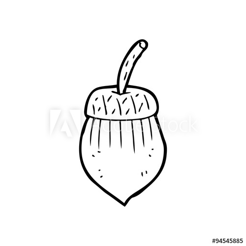 500x500 Line Drawing Cartoon Acorn - Acorn Line Drawing