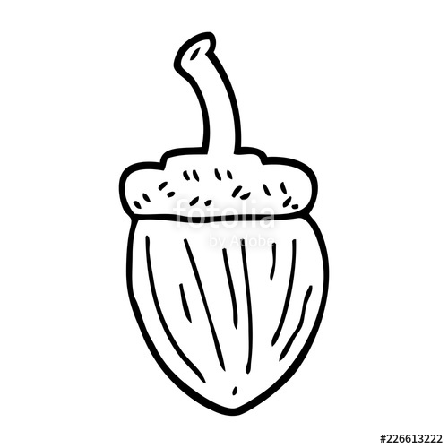 500x500 Line Drawing Cartoon Acorn Stock Image And Royalty Free Vector - Acorn Line Drawing
