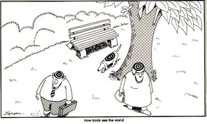 299x180 Activities For Kids On The Autism Spectrum - Activities For Kids Drawing