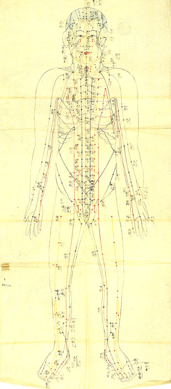 352x800 acupuncture drawing siebold collections online - Acupuncture Drawing